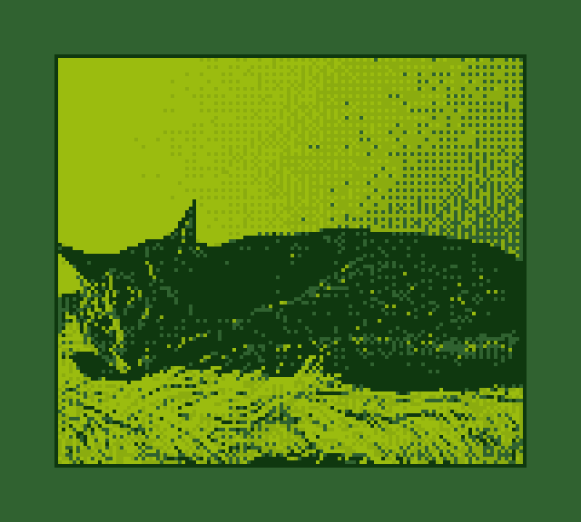 A picture of my cat, Claude von Riegan, with a Gameboy Camera-like filter.